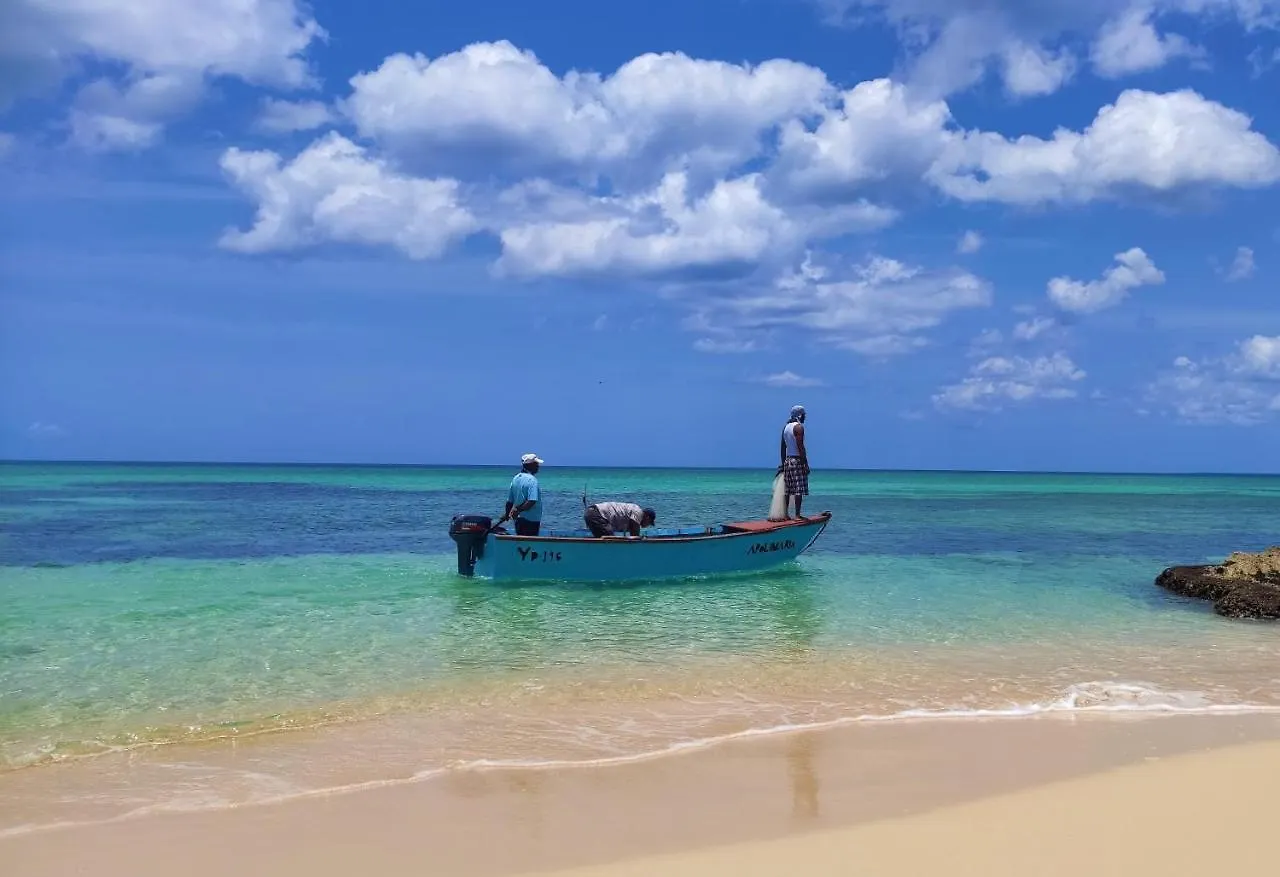 Hotel Boutique Caribbean Revelation Bayahibe Dominican Republic