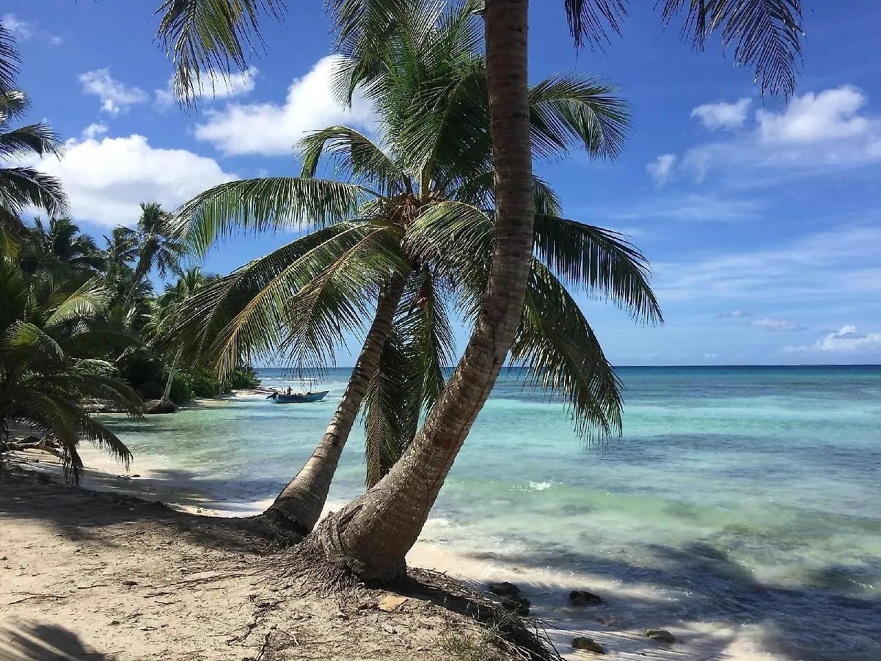Aparthotel Hotel Boutique Caribbean Revelation Bayahibe