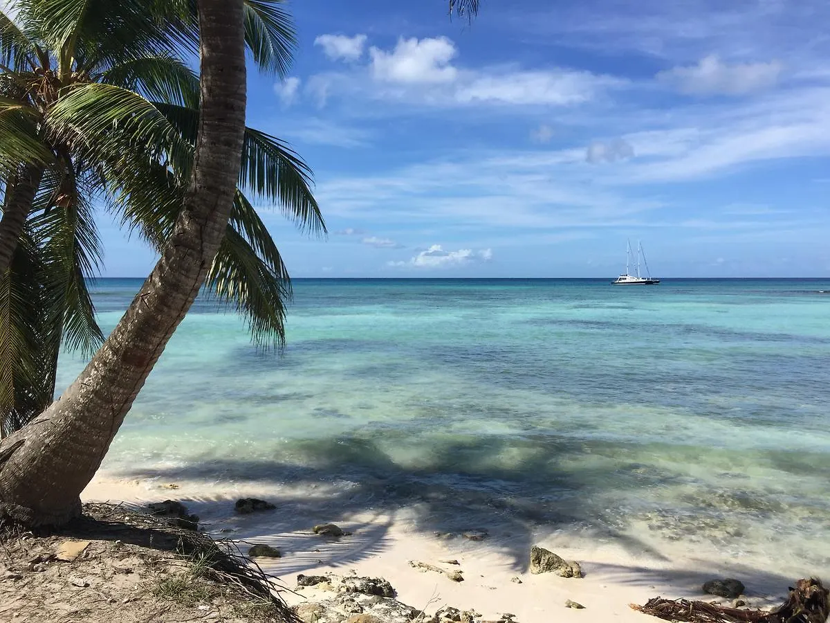 Hotel Boutique Caribbean Revelation Bayahibe Dominican Republic